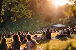 Saha Aktiviteleri